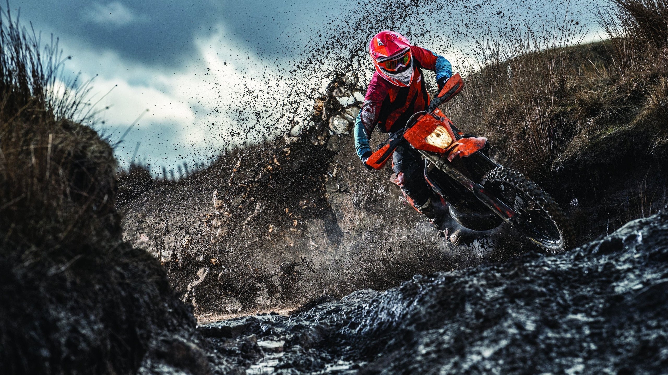 F1新赛季揭幕战焦点战,掘金力克广东队,速度与力量的全球交响